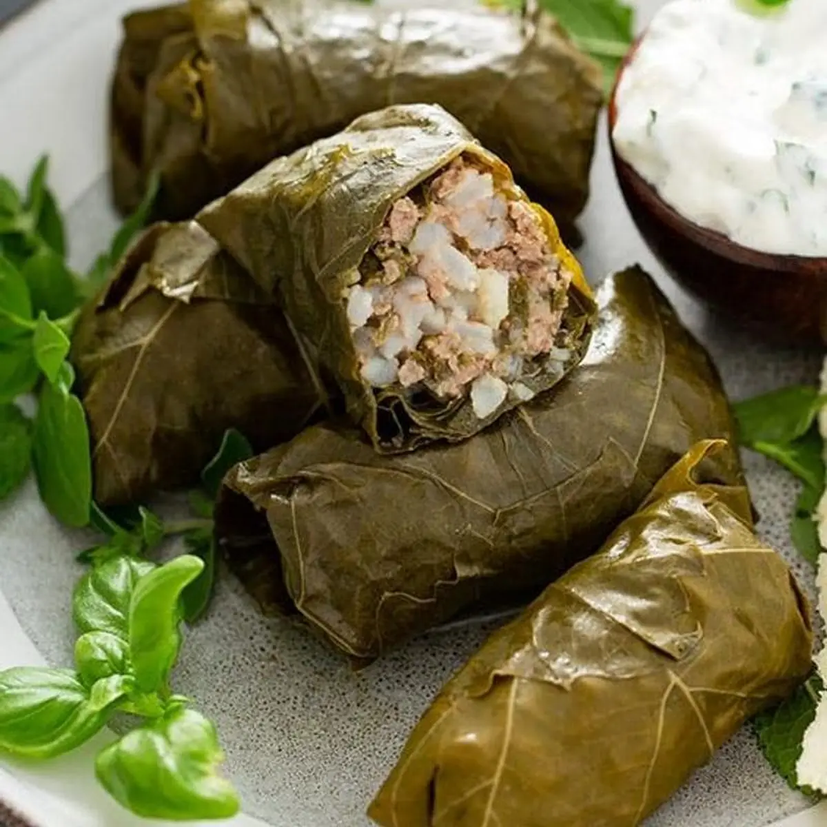 Stuffed Grape Leaves 5pcs ⓥ GF