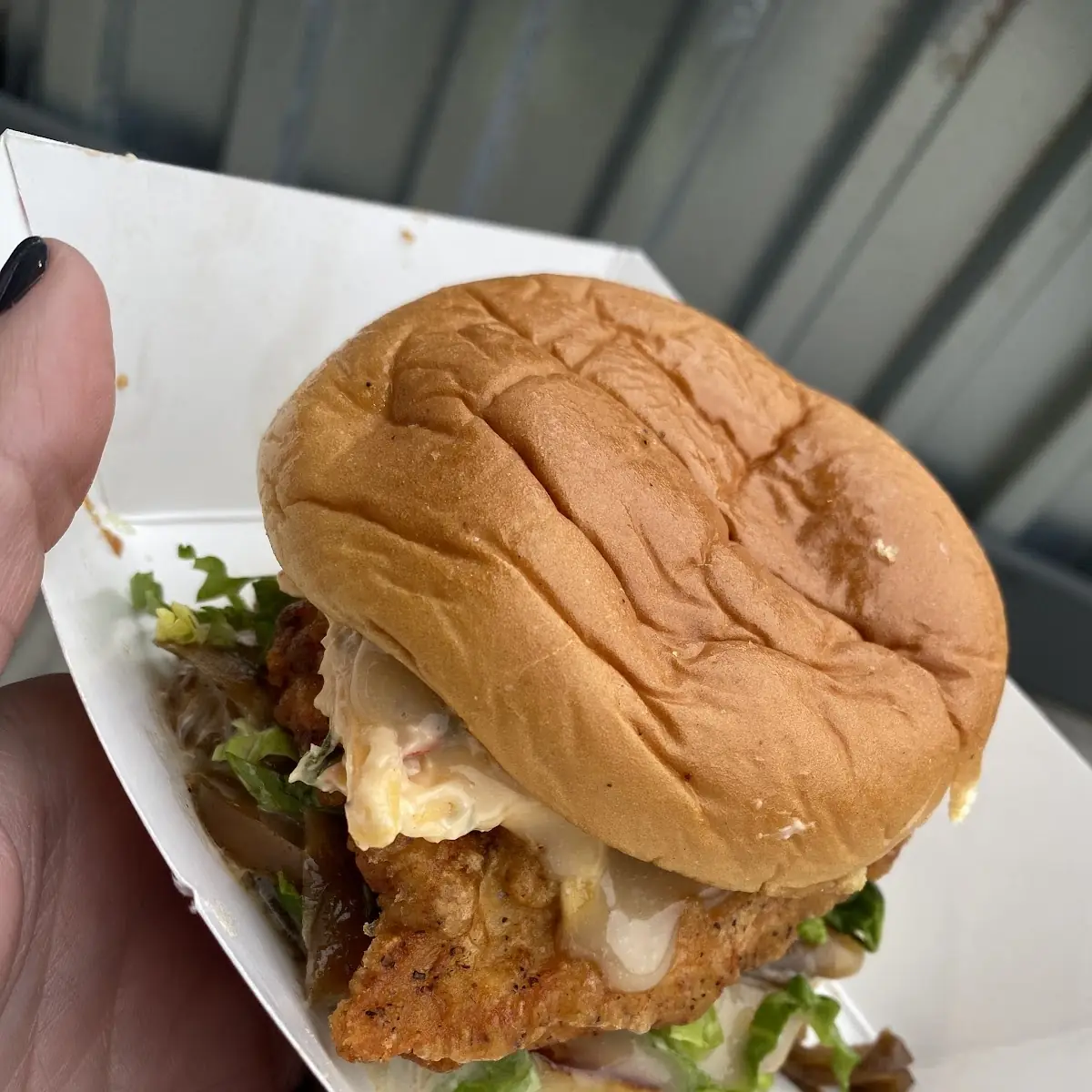 The Wynwood Chicken Sandwich