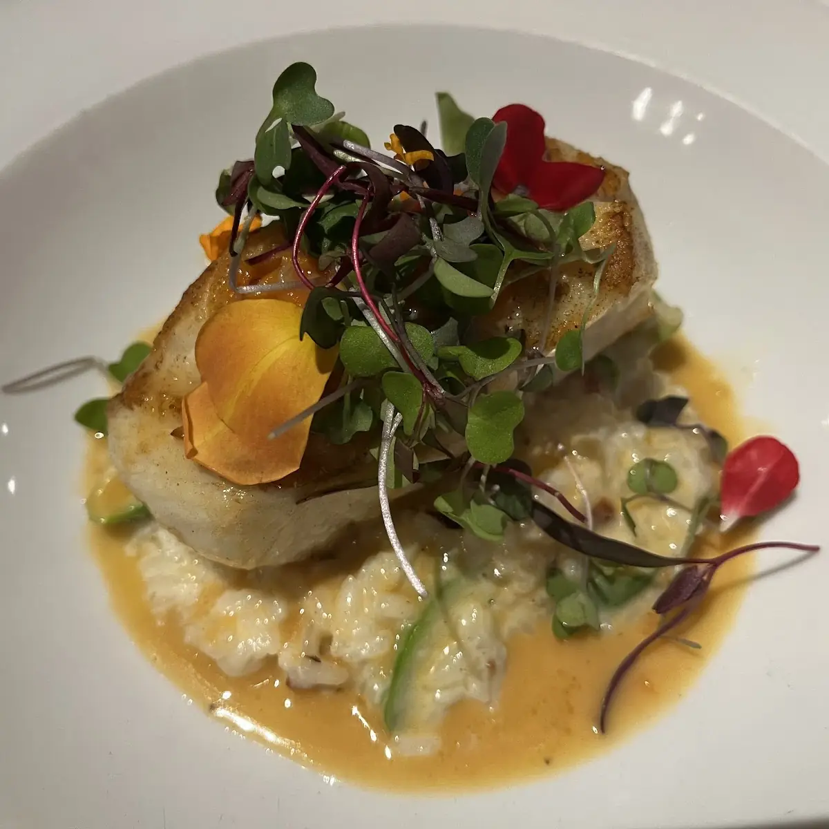 Sea Bass