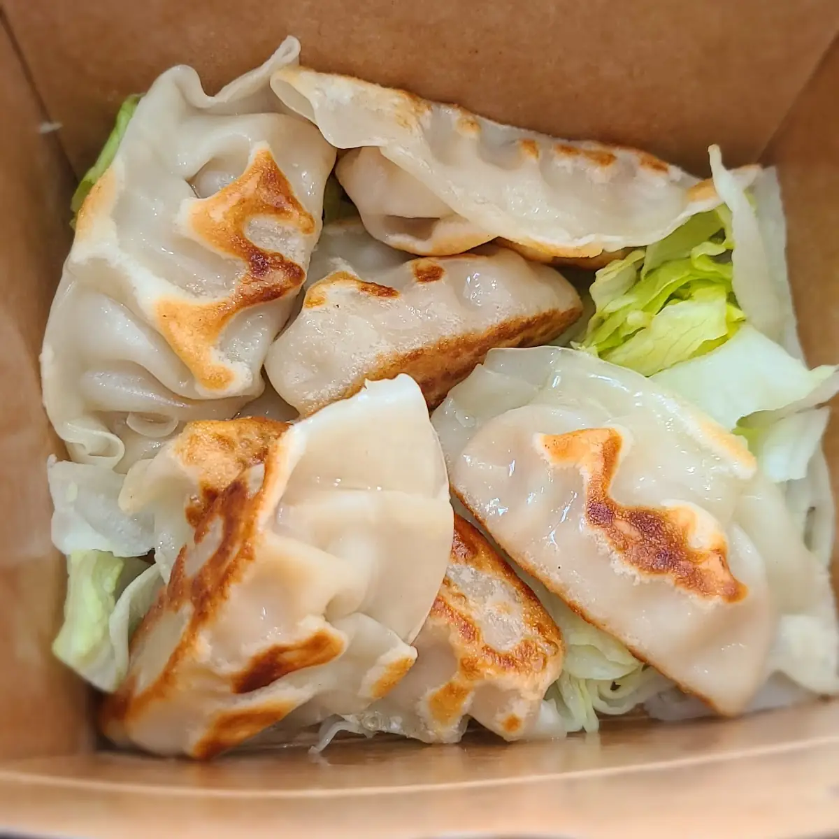 Gyoza