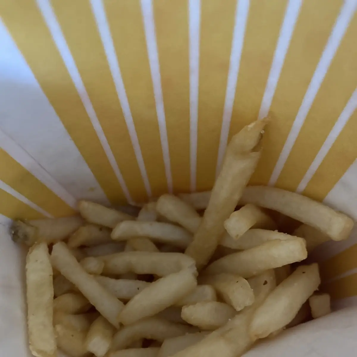 World Famous Fries