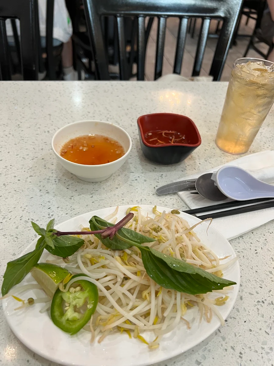 Bean Sprouts, Thai Son