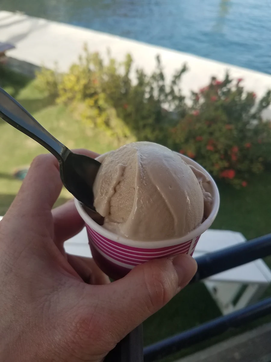 Vegan Peanut Butter Ice Cream