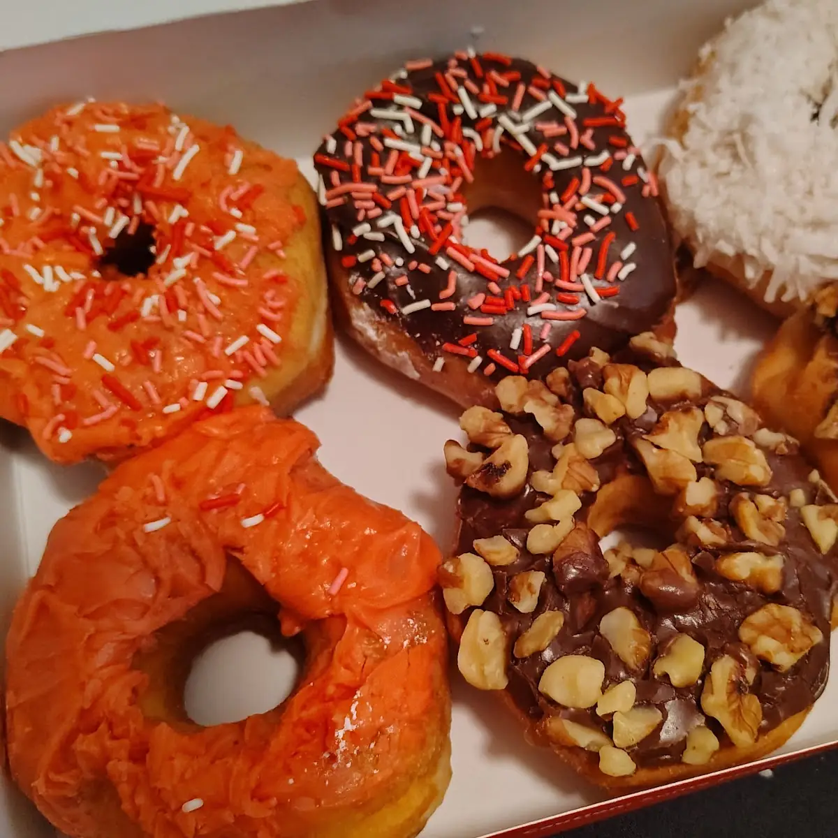 Doughnut
