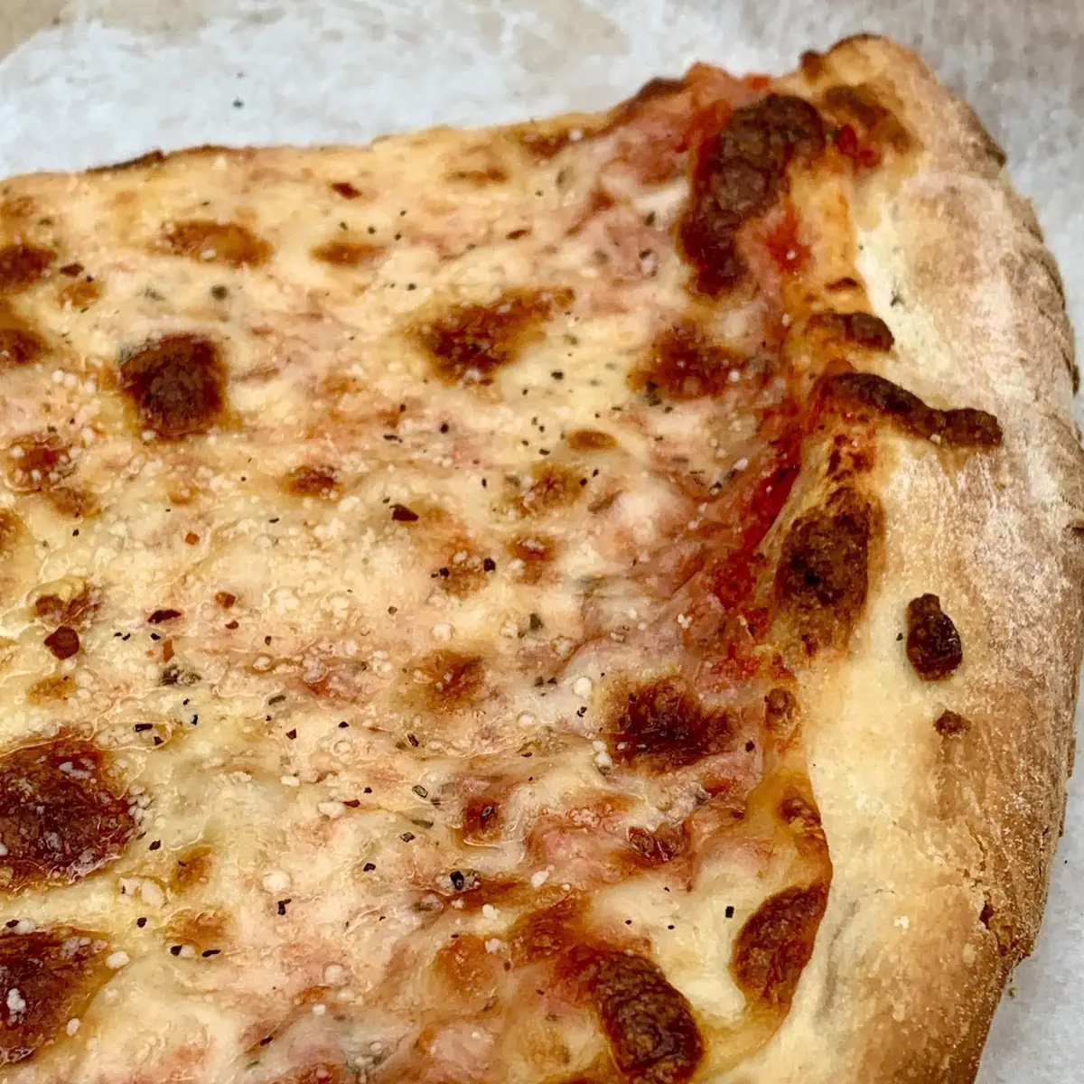 Plain Cheese Pizza