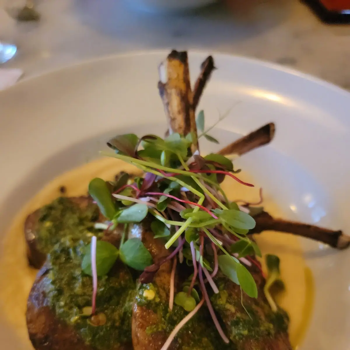 Lamb Chops