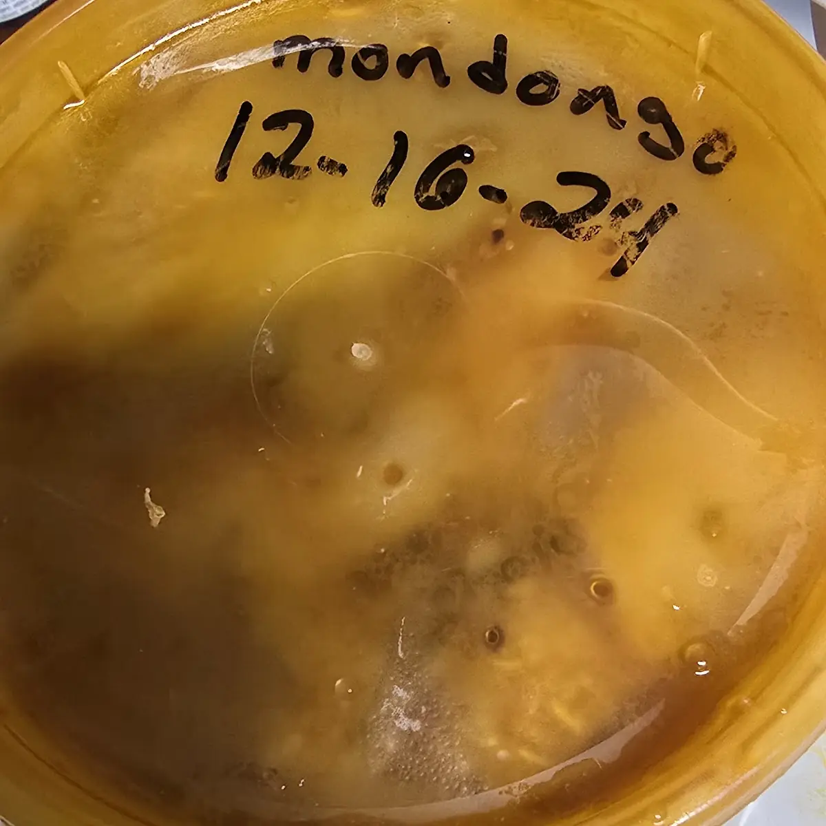 Sopa Mondongo