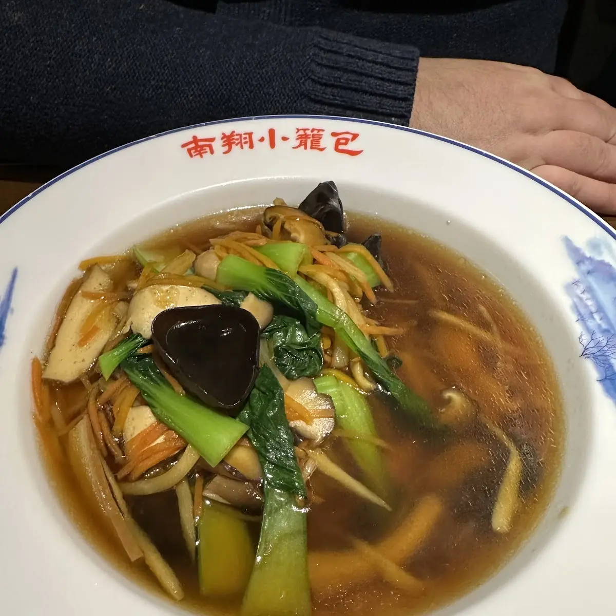 Vegetable Soup Dumplings
