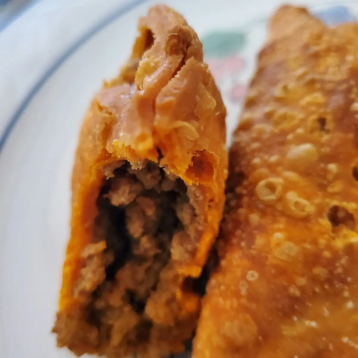 Beef Empanada