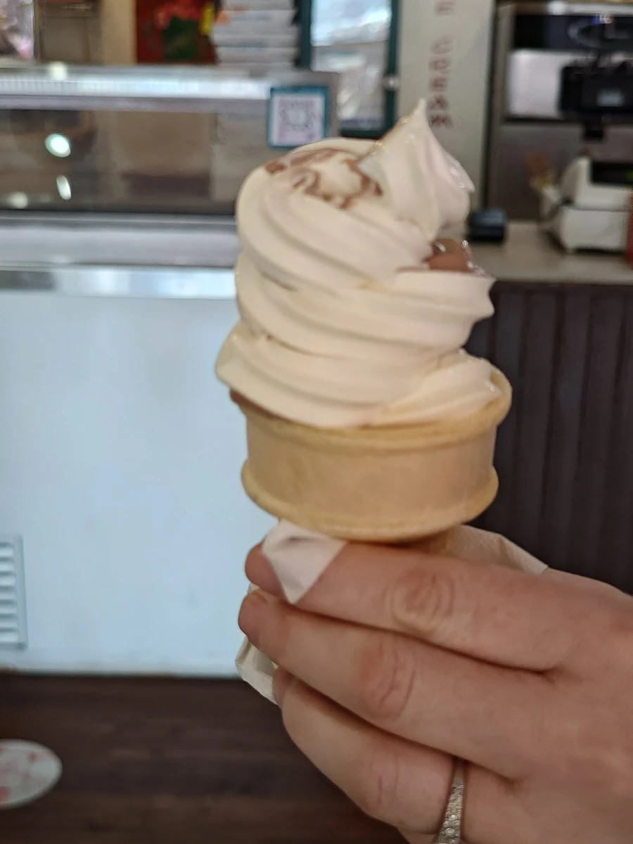 Frozen Custard