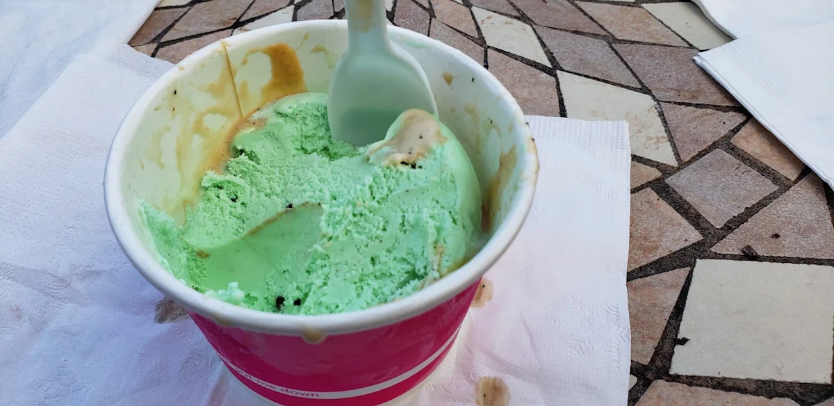 Mint Chocolate Chip