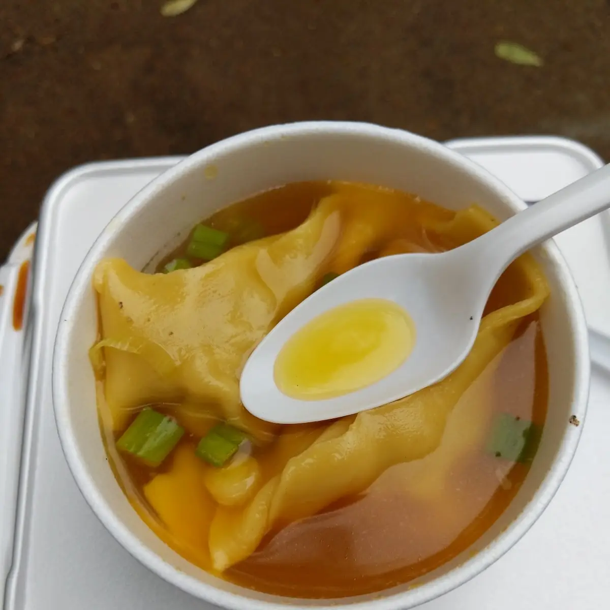 Wonton Soup