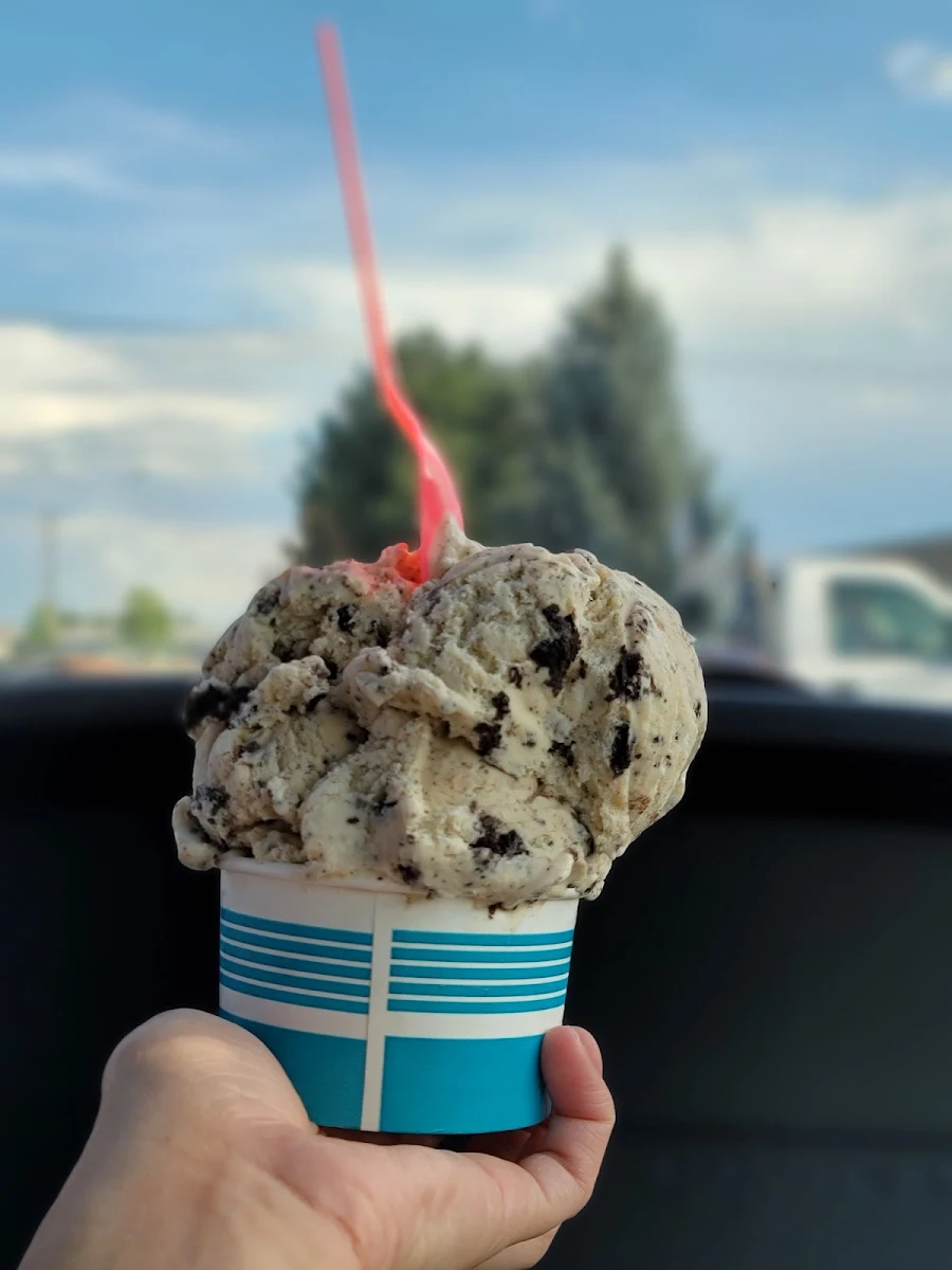 Chocolate Chip