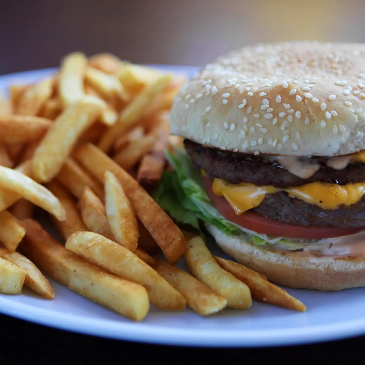Double Cheeseburger with Fries