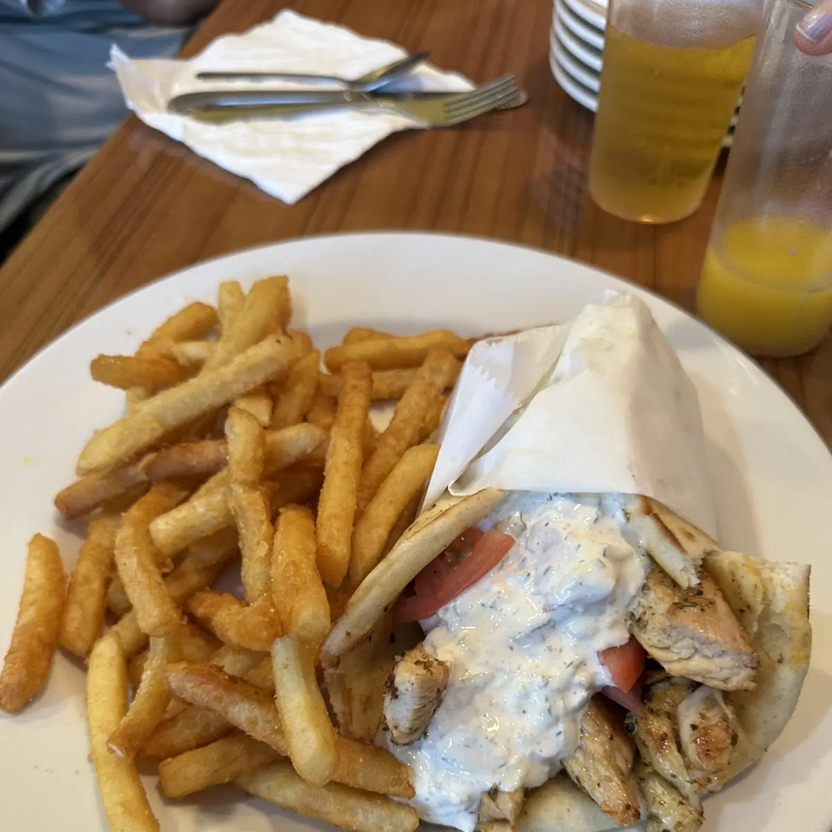 Gyro