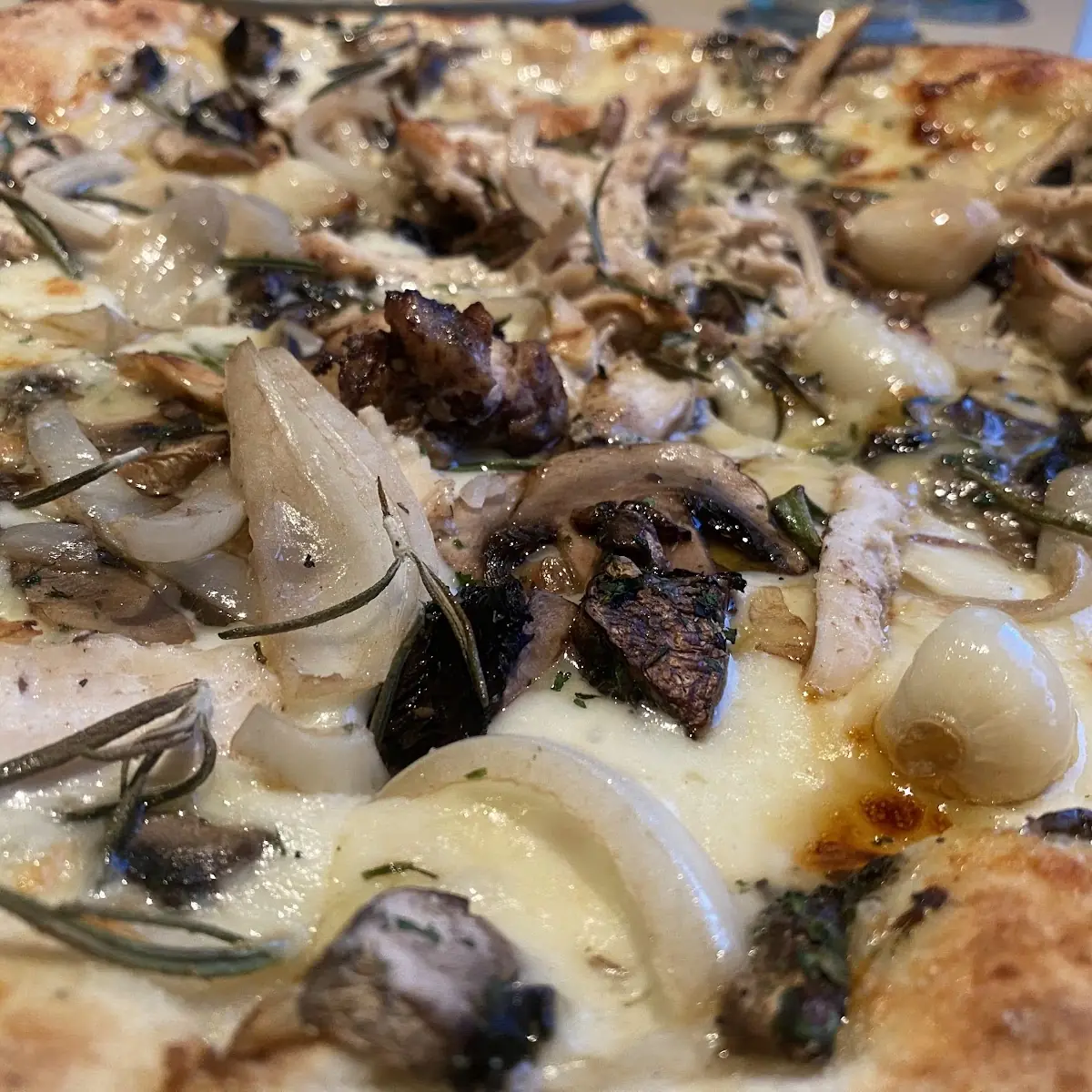 Wild Mushroom