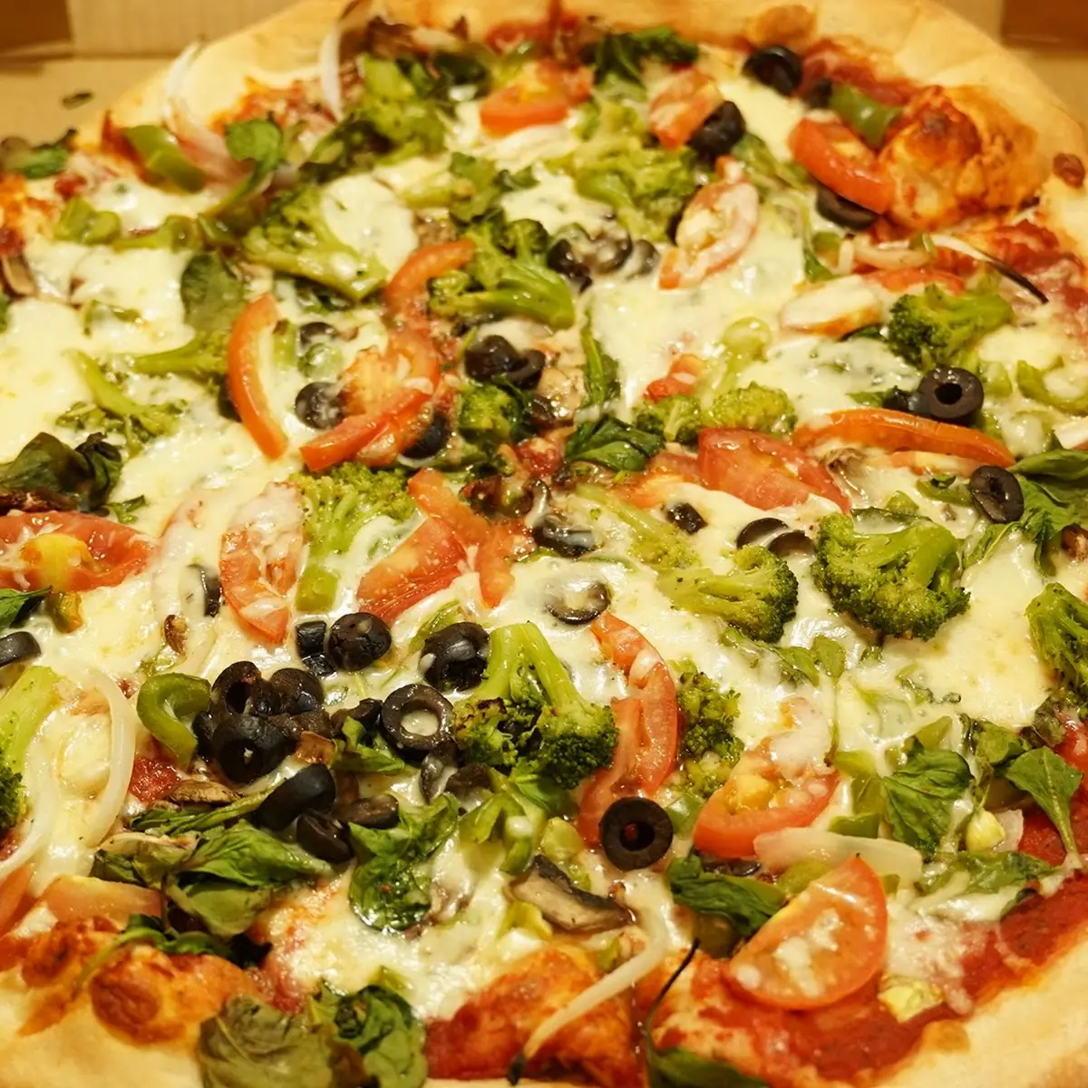 Vegetarian Pizza