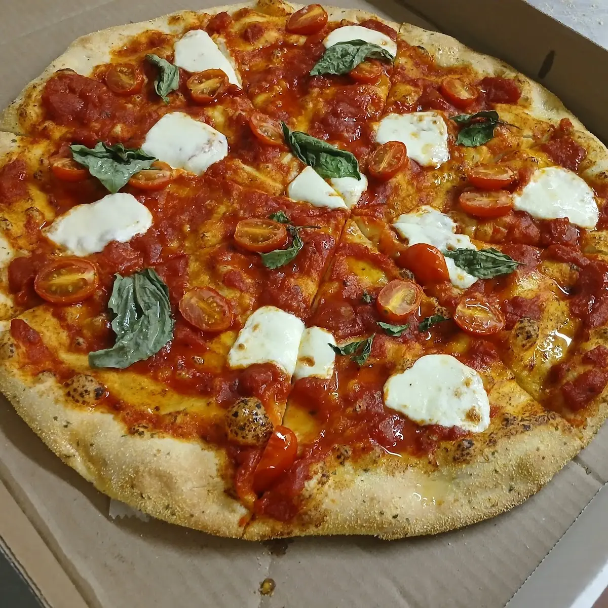 16 Large Margherita Pizza