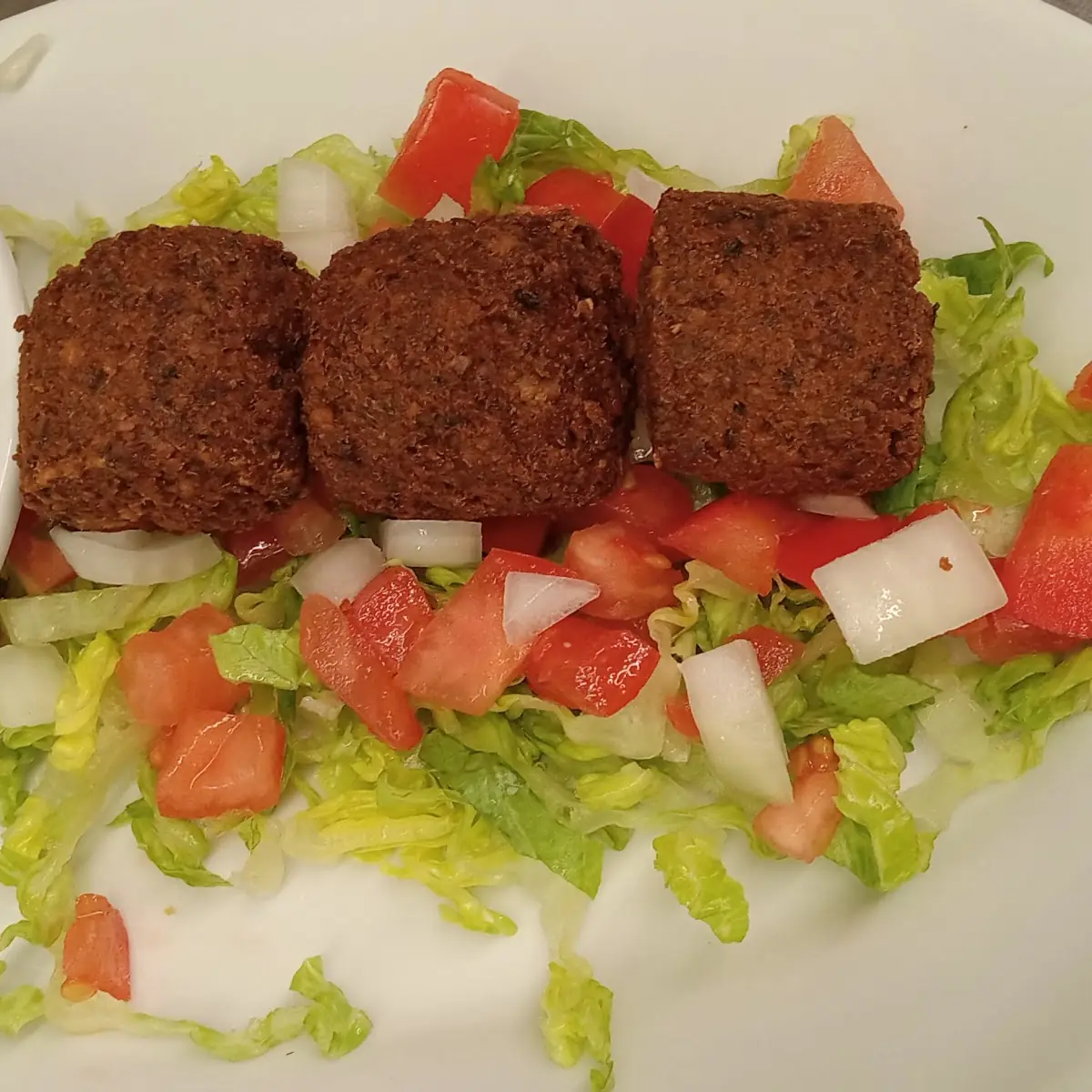 Falafel Plate