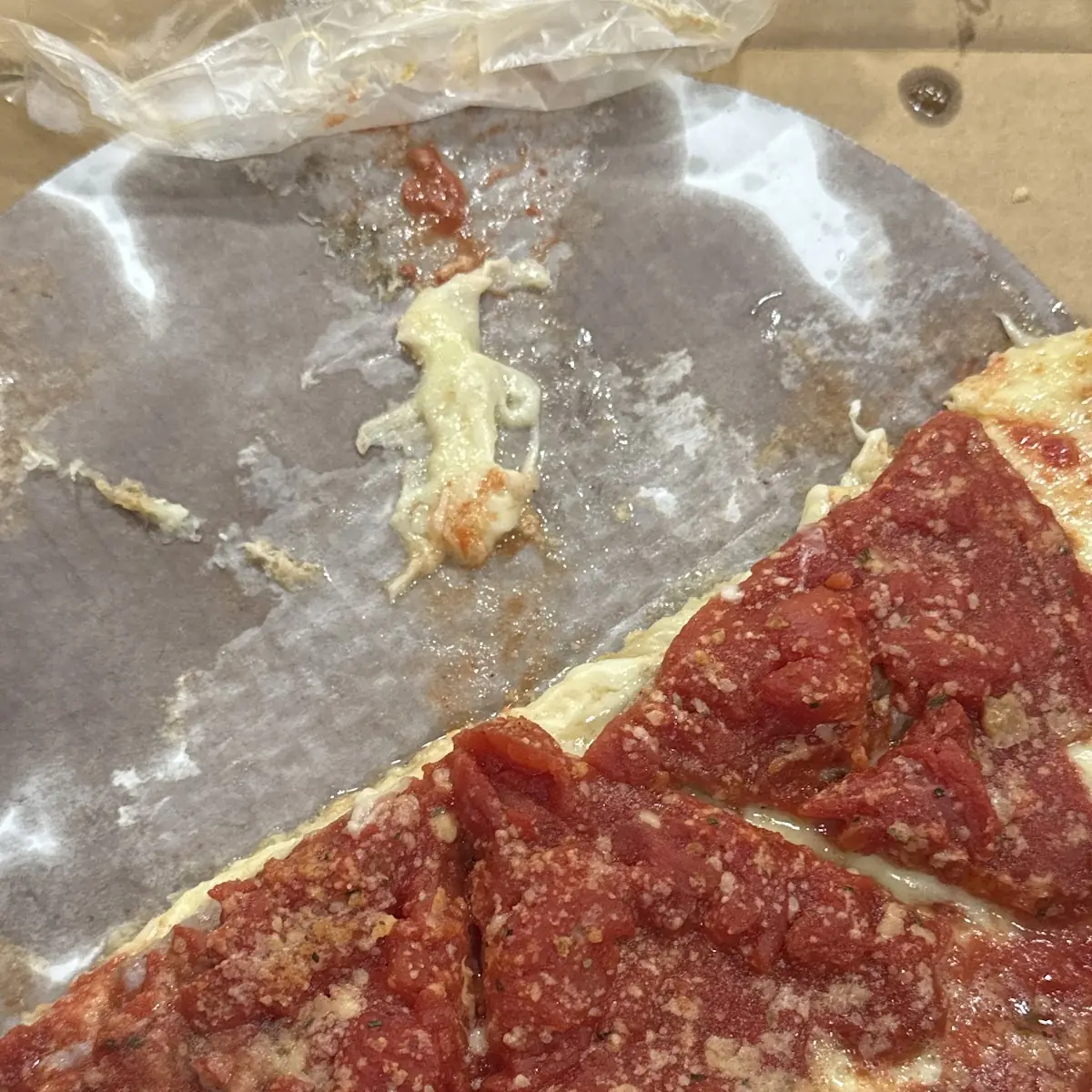 Wet Pizza