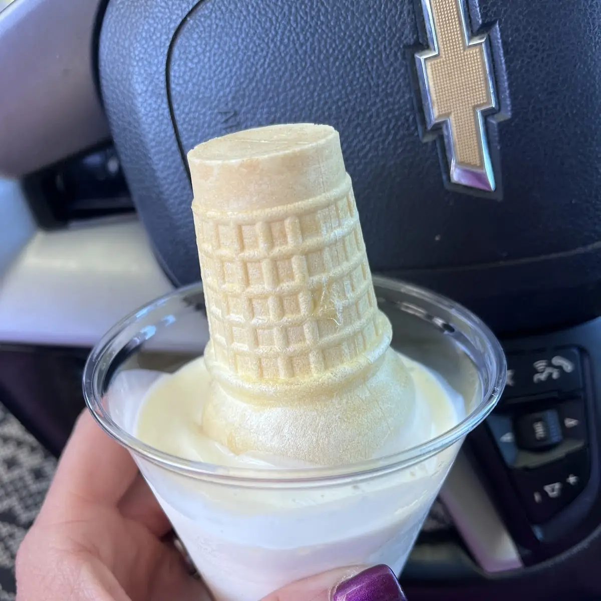 Vanilla Ice Cream in a Dish with a Cone