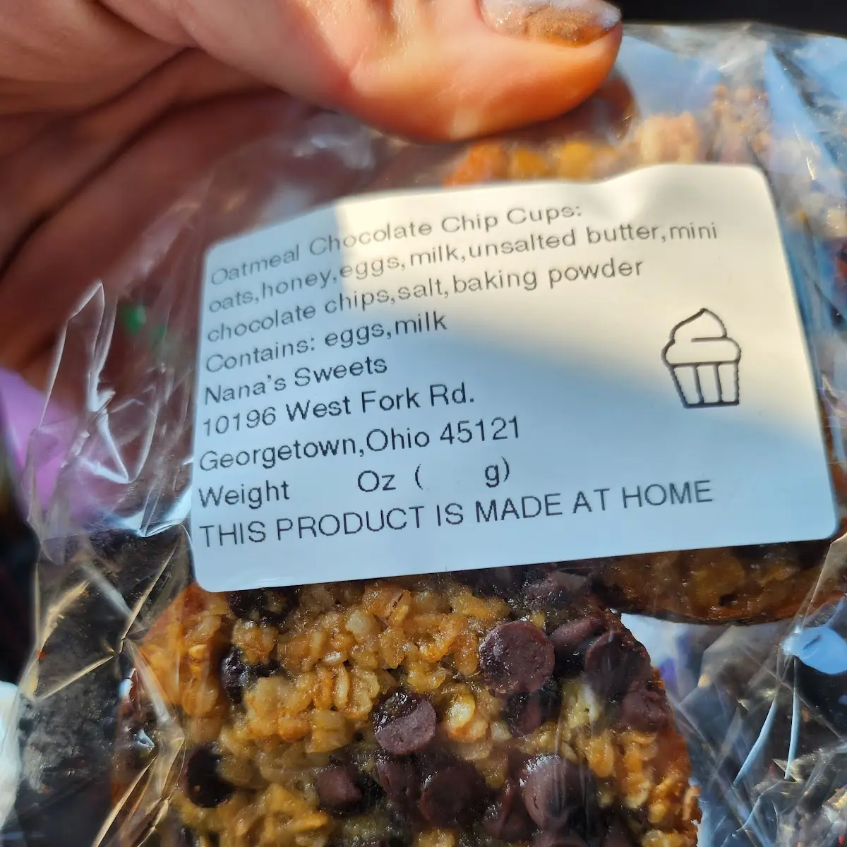 Oatmeal Chocolate Chips Balls