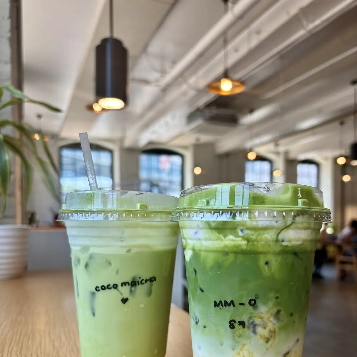 Coconut Water Matcha
