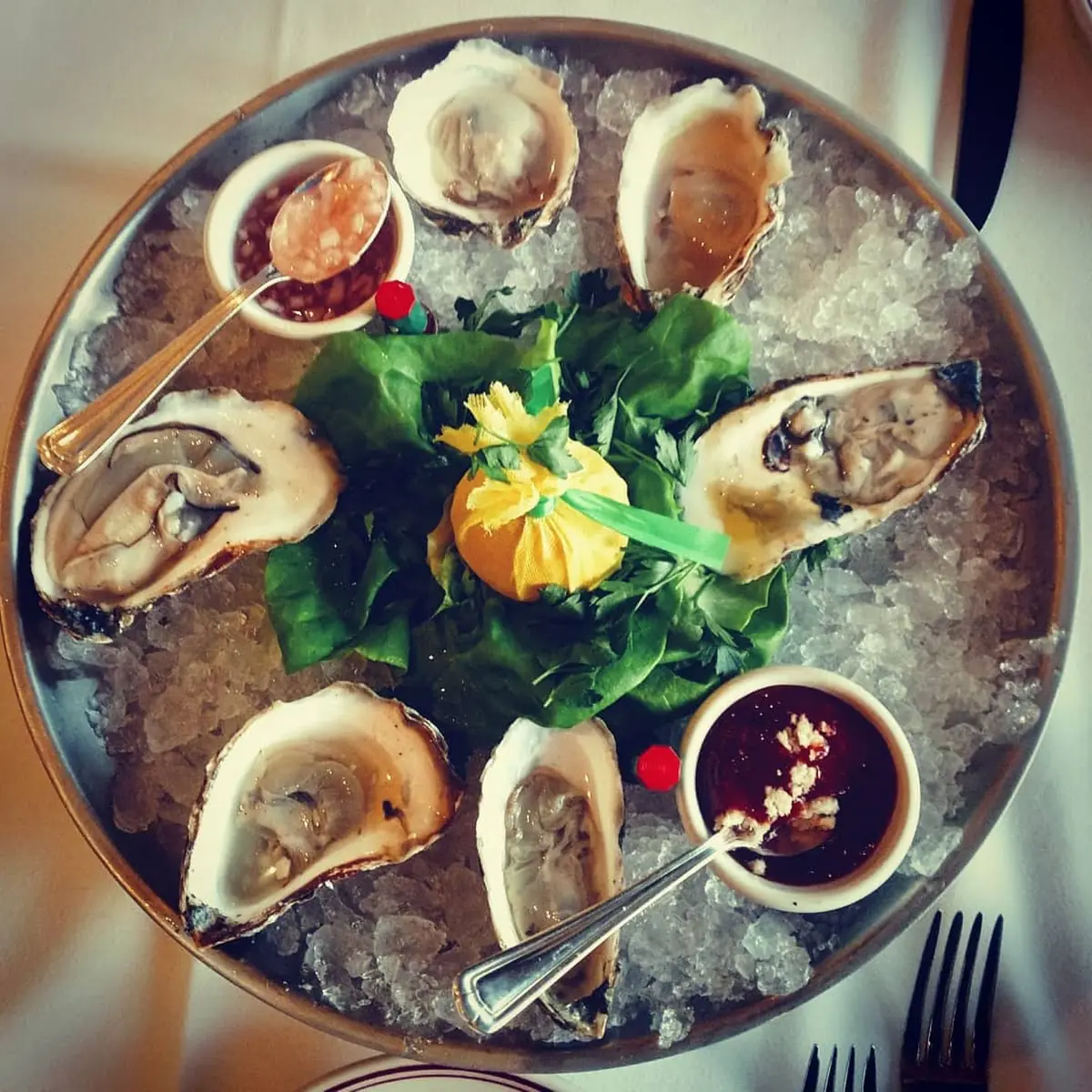 Oysters Dozen
