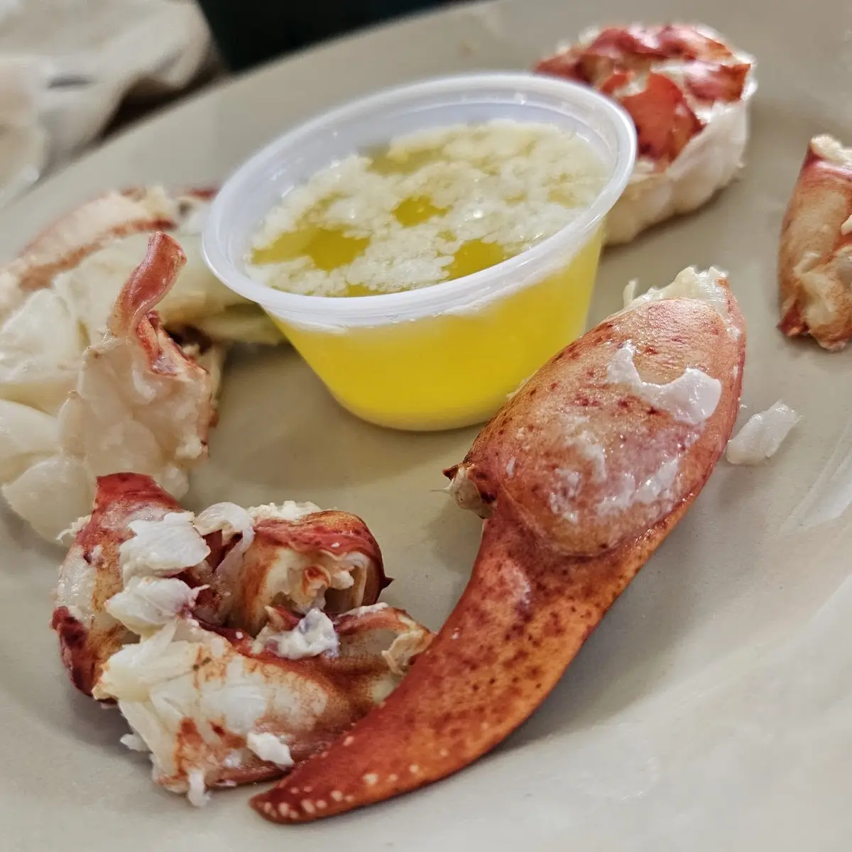 Lobster Tail