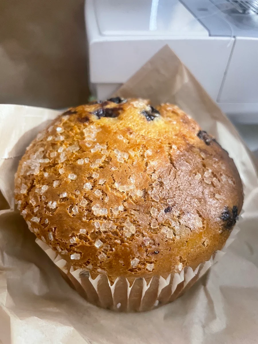 Blueberry Muffins