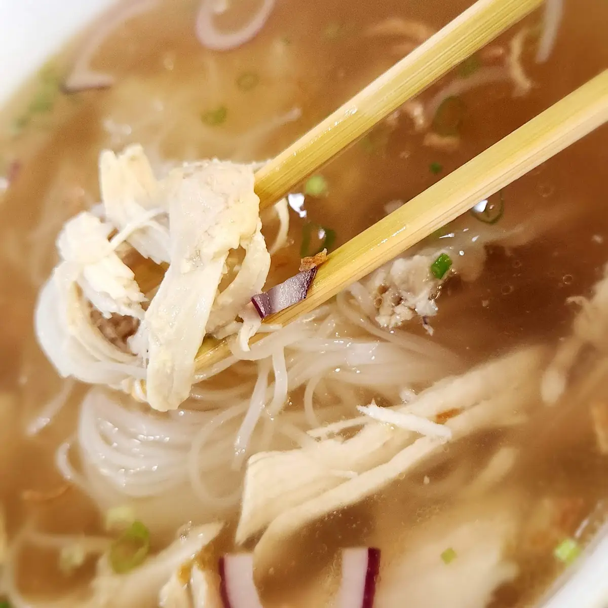 Chicken Phở