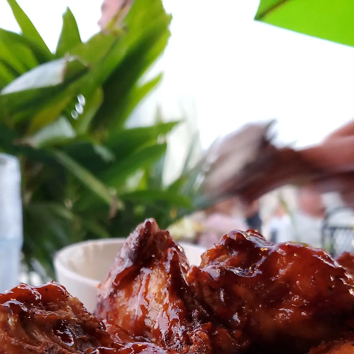 Honey Barbeque Chicken Wings