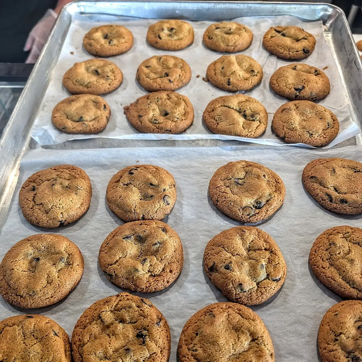 Made from Scratch Chocolate Chip Cookies