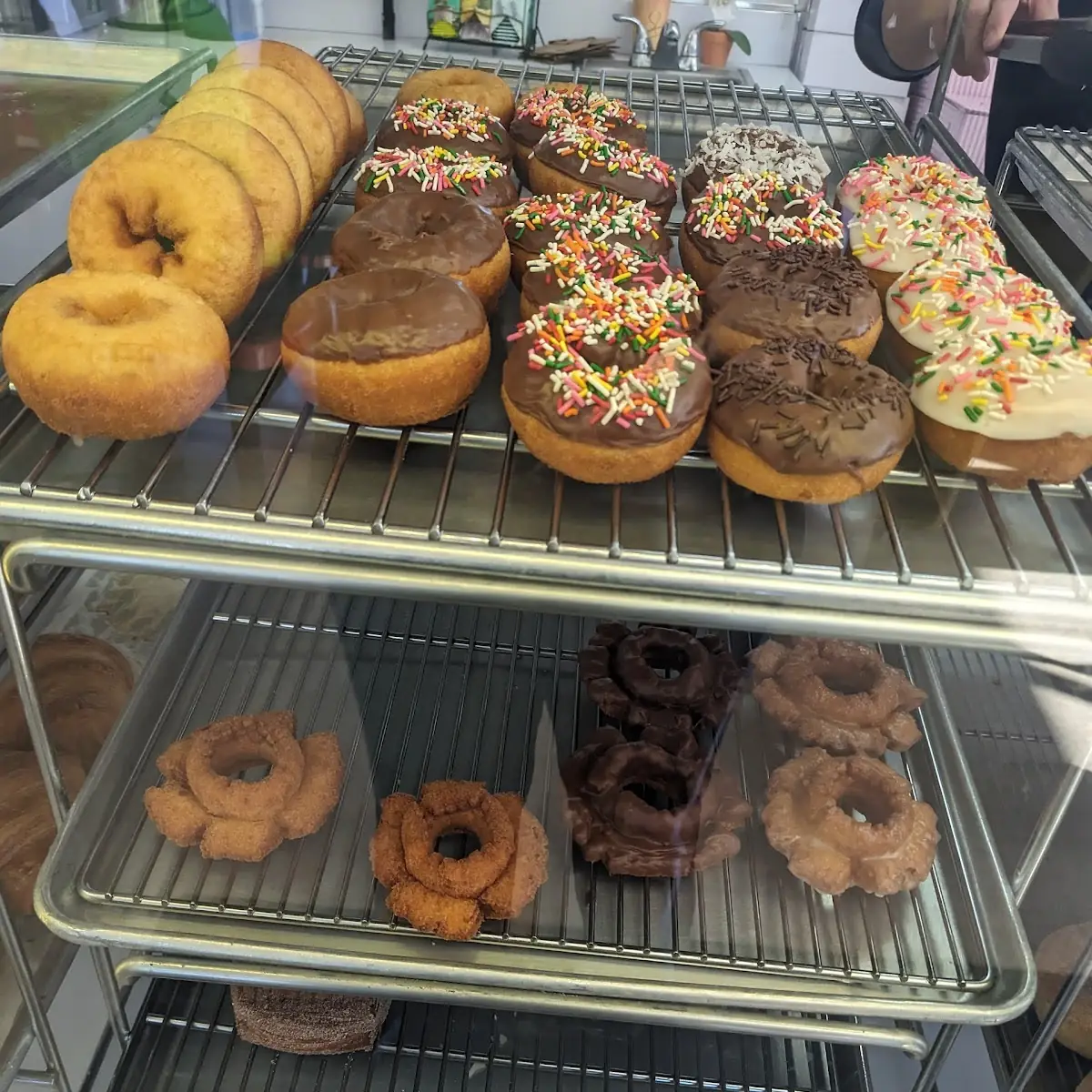 Old Fashioned and Plain Donuts