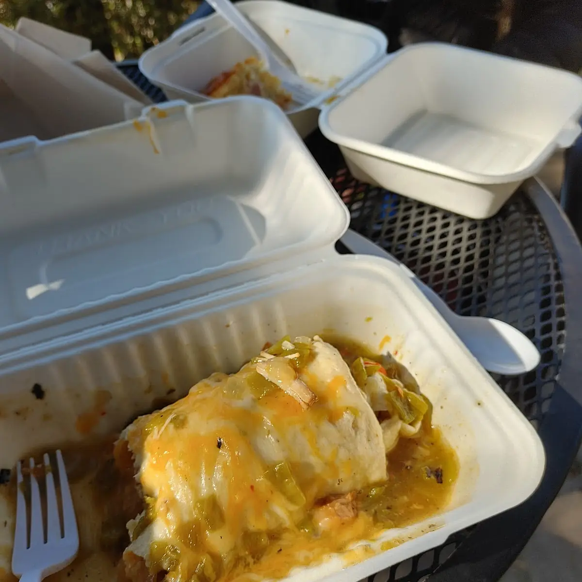 Breakfast Burrito with Hatch Green Chilli Sauce