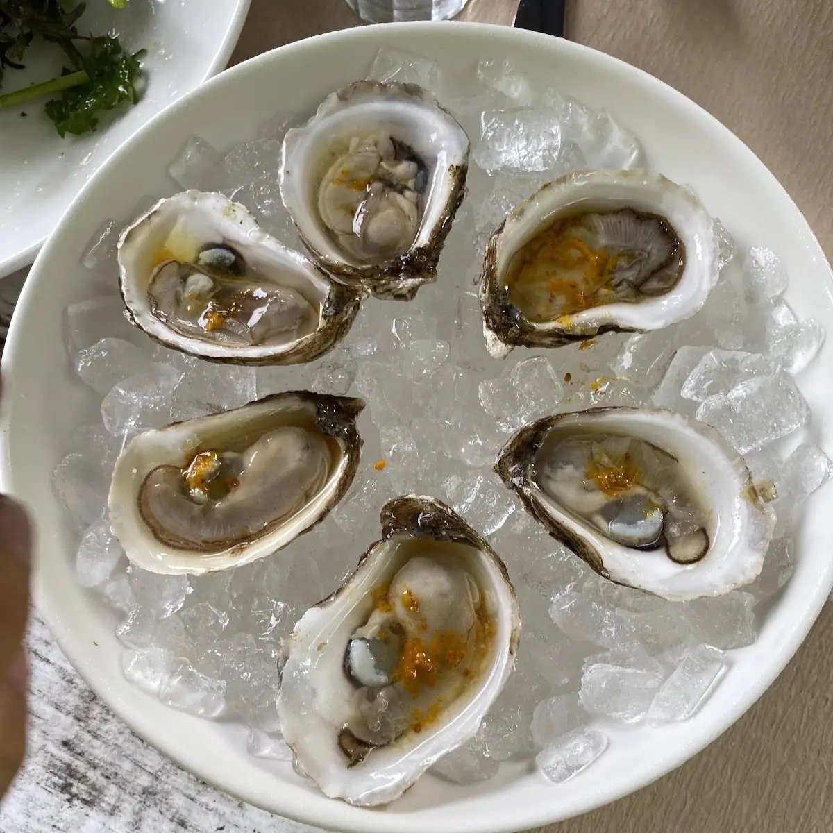 Fresh Oysters on Crushed Ice