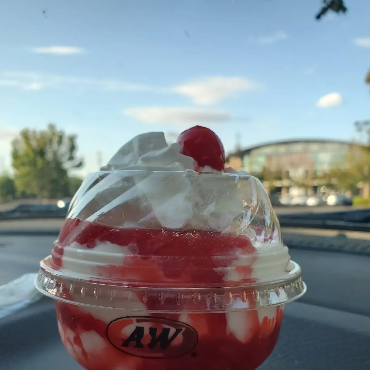 Real Berry Strawberry Sundae