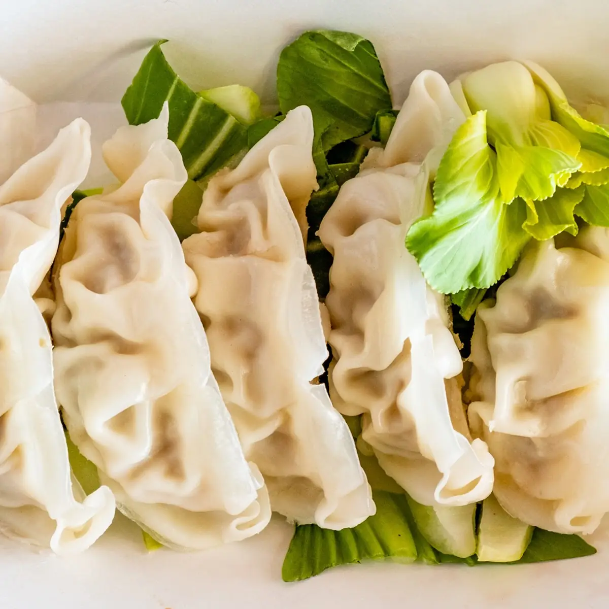 Pan Fried Steamed Dumpling