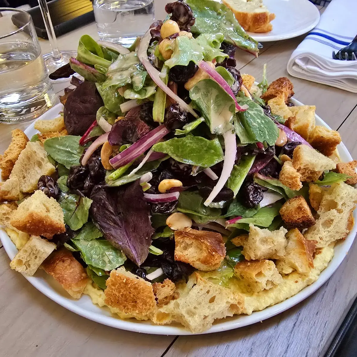 Maidstone Harvest Salad V