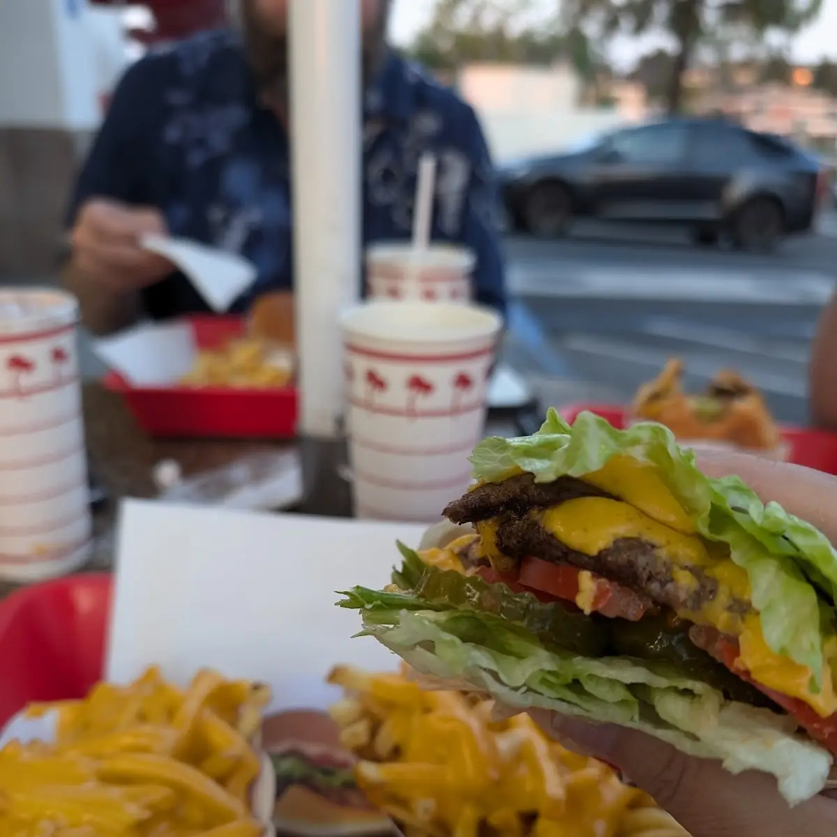 Protein Double Double Cheeseburger Combo