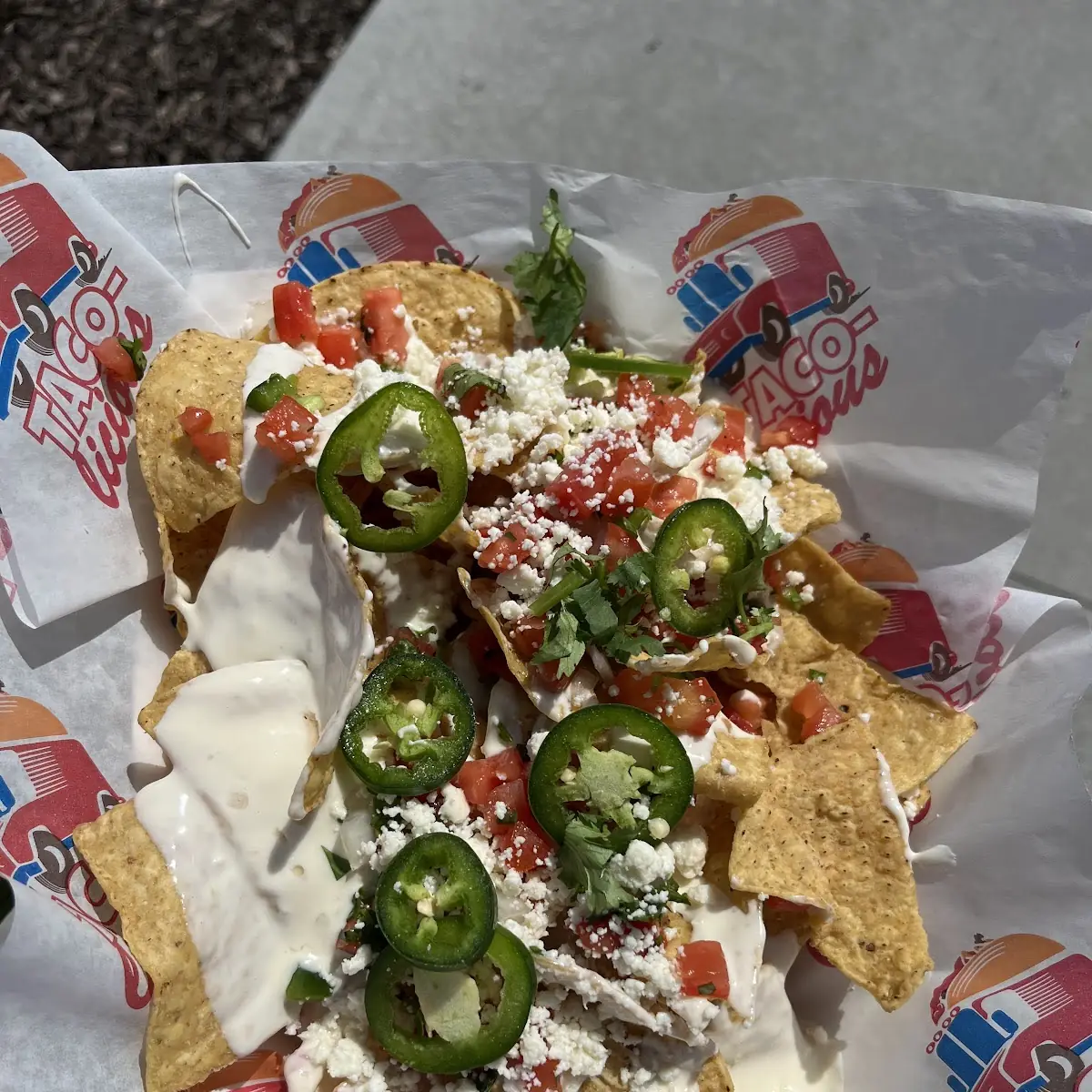 Loaded Nachos