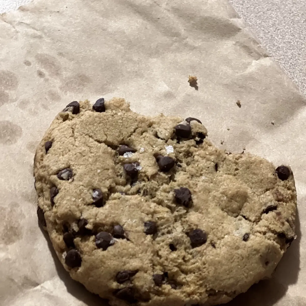 Chocolate Chip Cookie