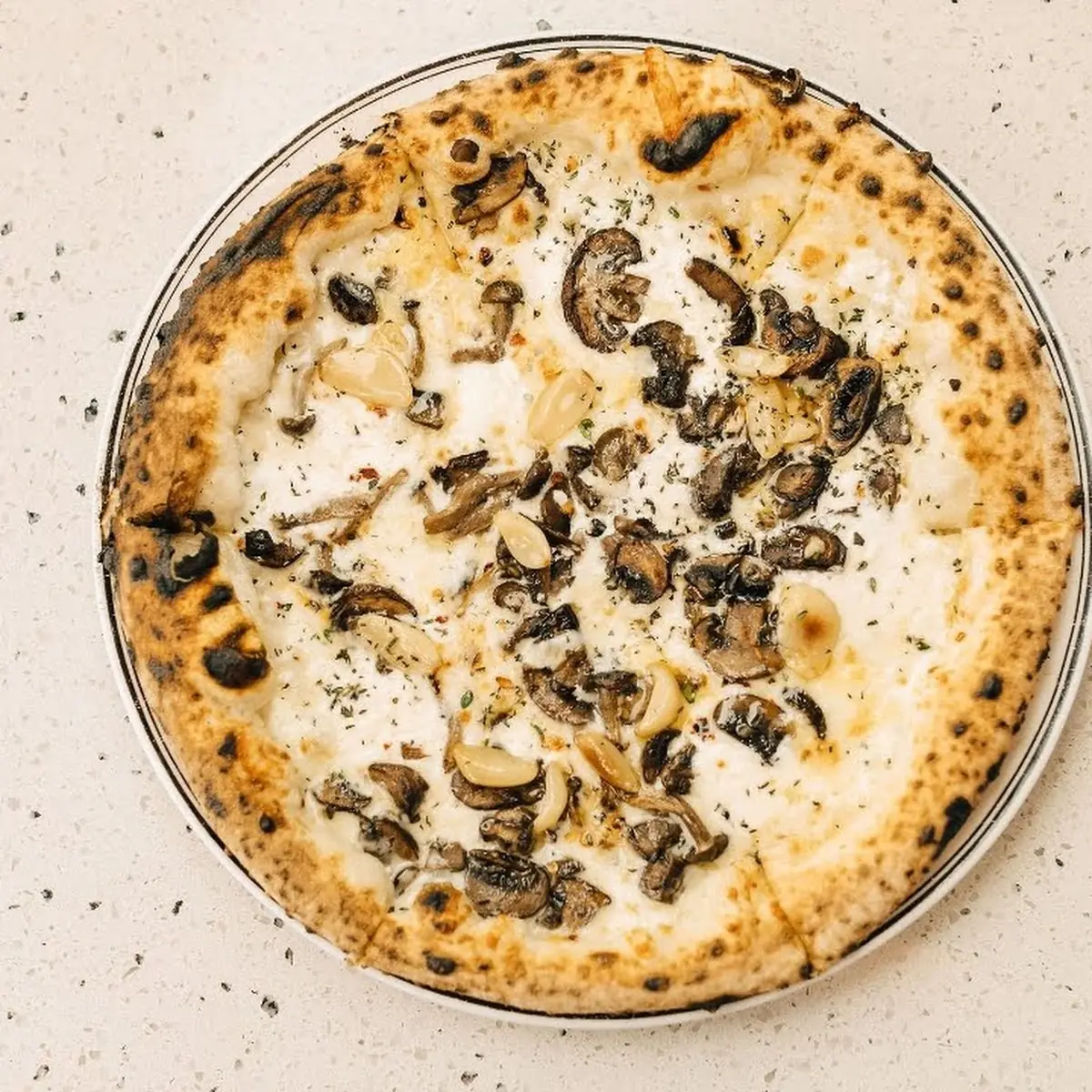 Mushroom Pizza MV