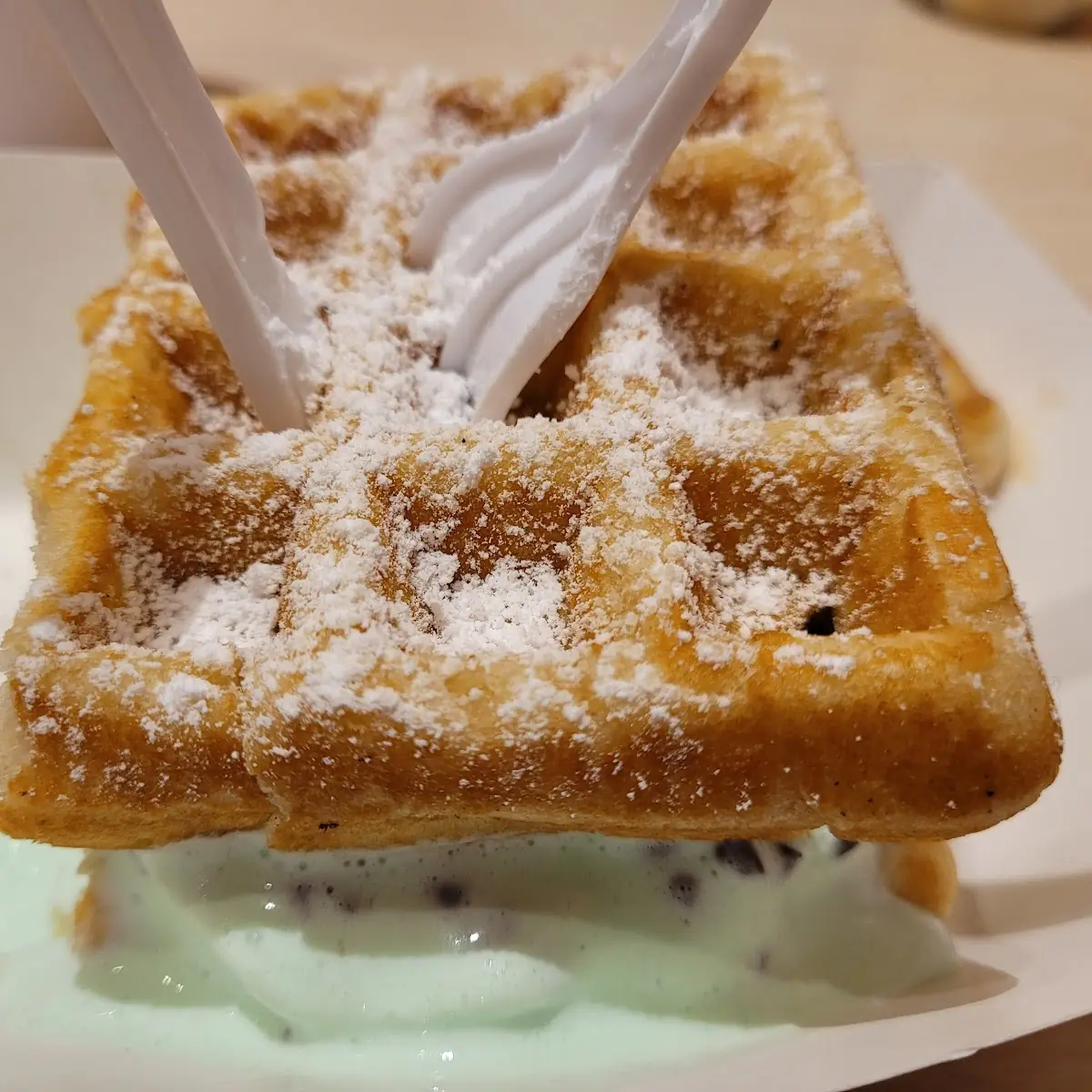 Hot Belgian Waffle with Mint Chip Ice Cream