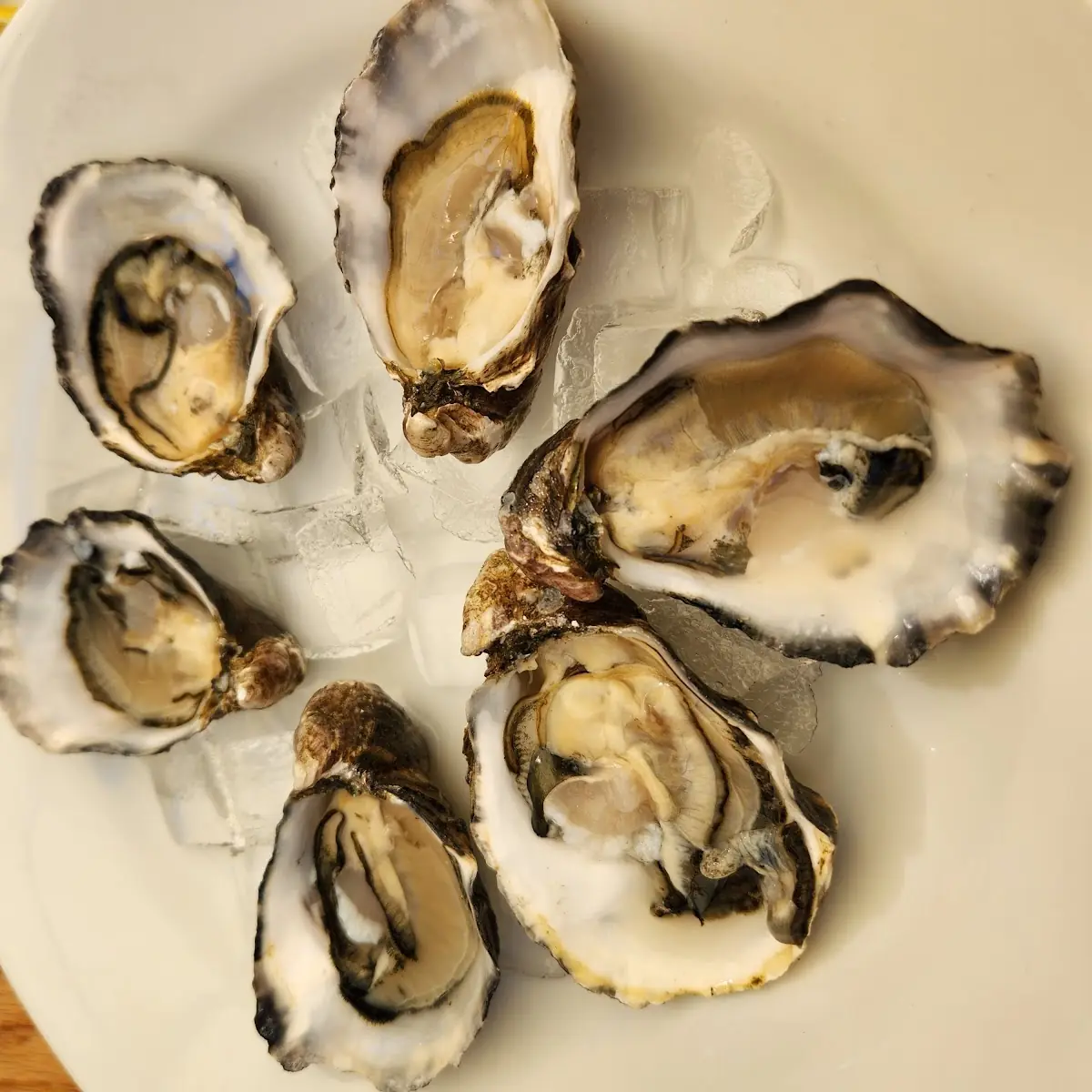 Oysters on the Half Shell