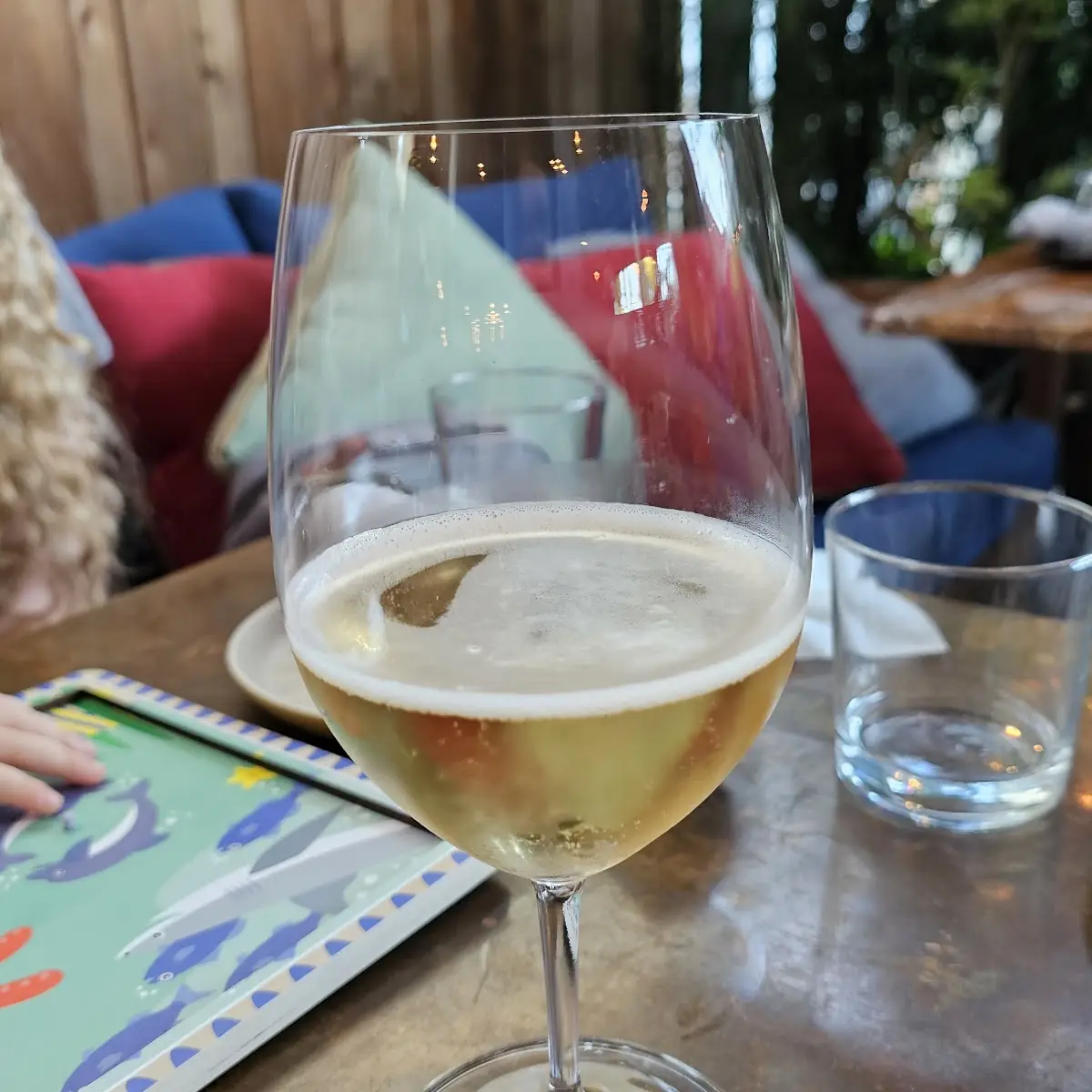Pignier Sparkling White Wine