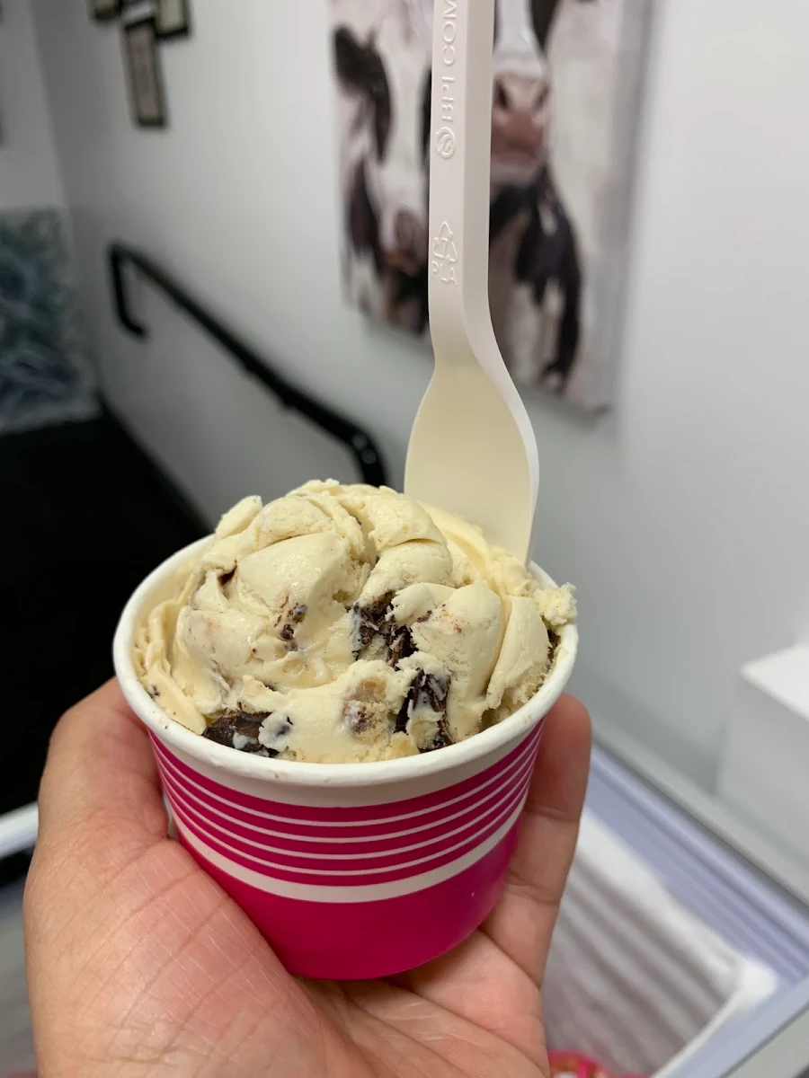 Chocolate Chip Cookie Dough