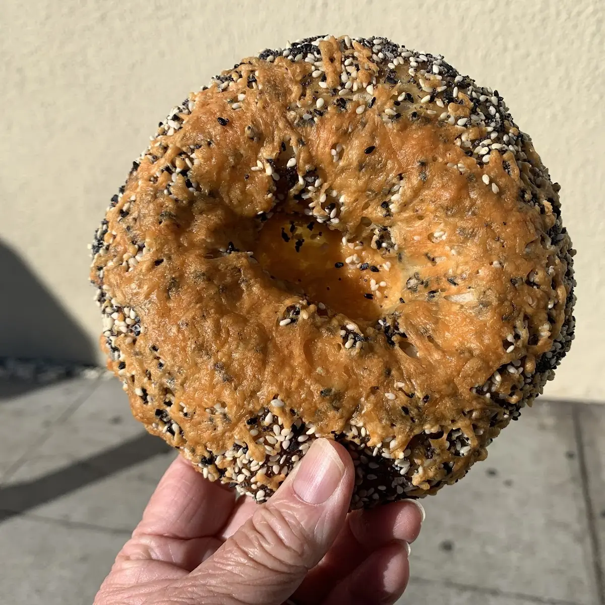Cheesy Everything Bagel