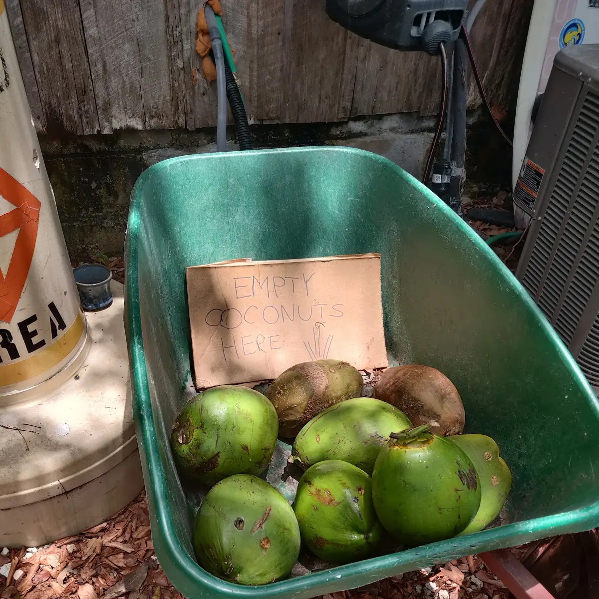 Coconut Water