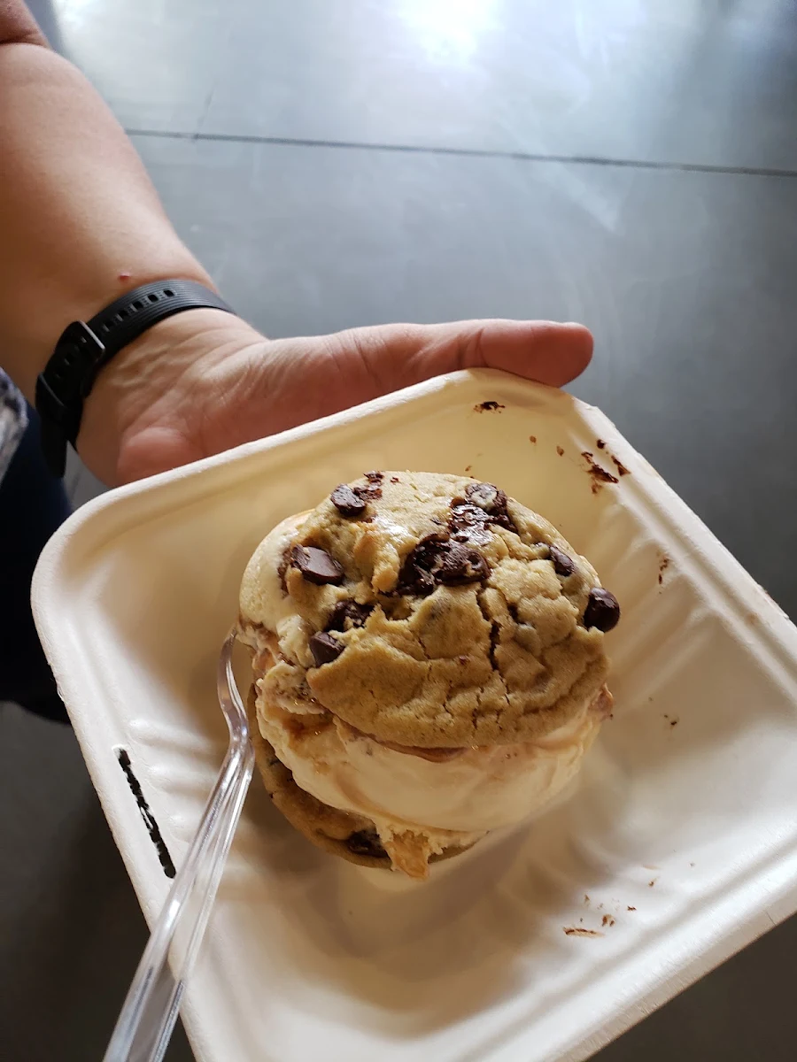 Cookie Monster Ice Cream Sandwich